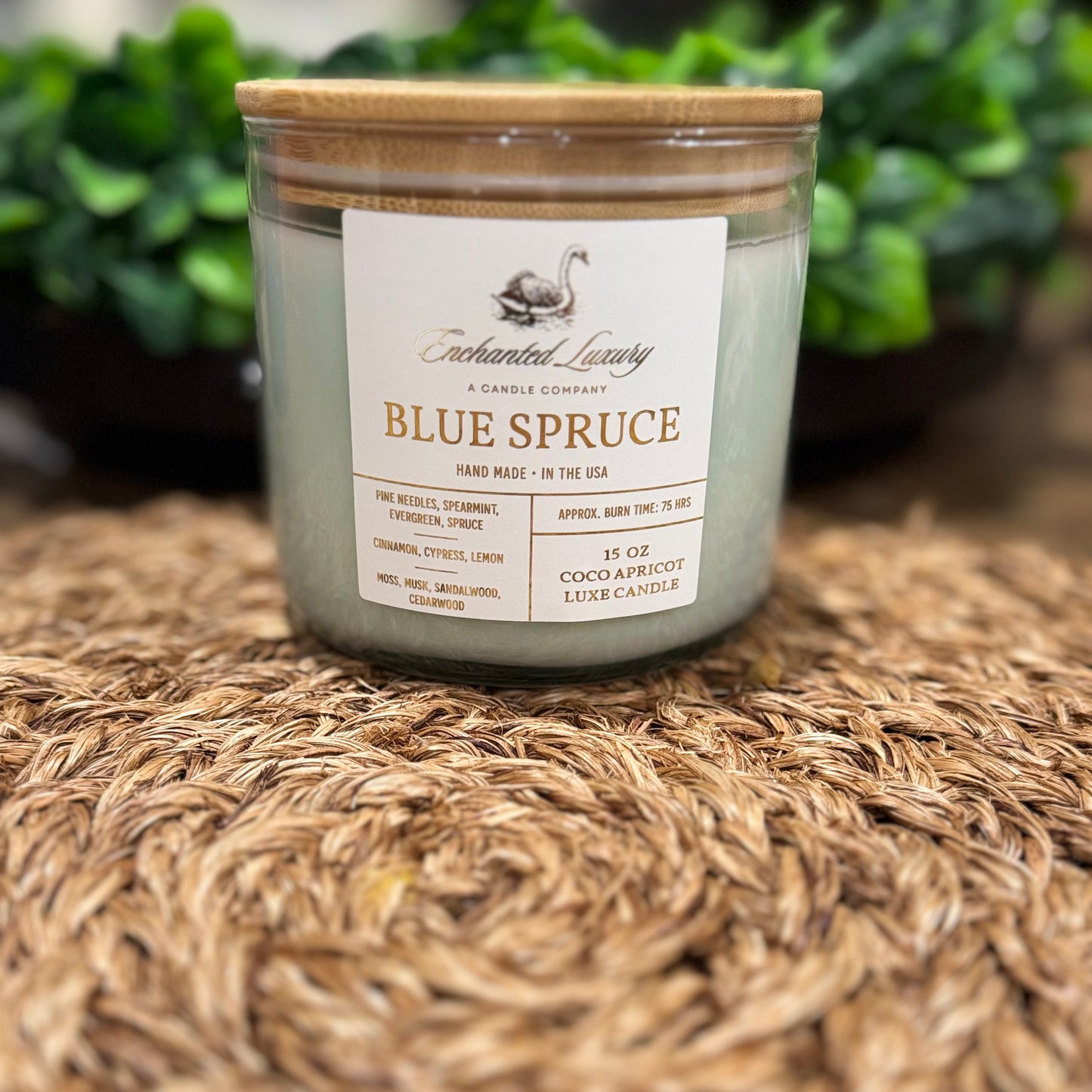 Blue Spruce Candle - Handmade Coco Apricot Wax Blend